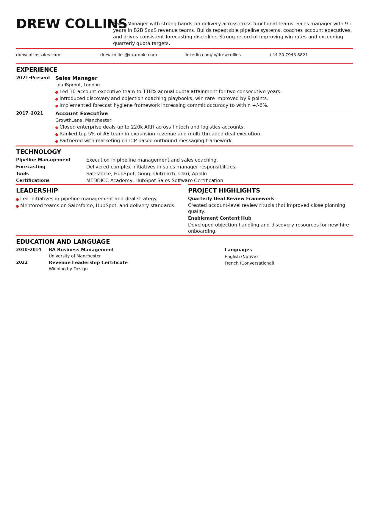 Sales manager resume preview