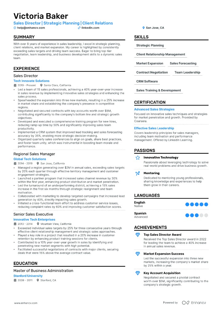 Sales Director Resume Example